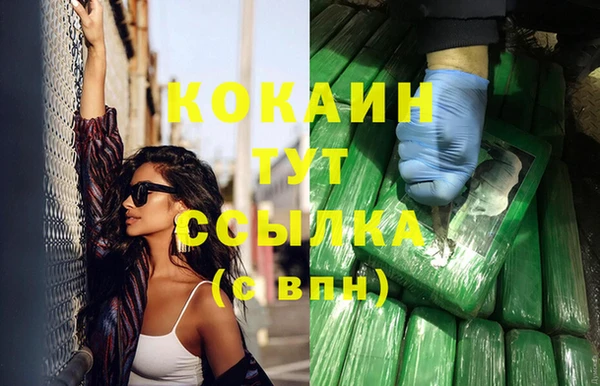 mix Богородицк