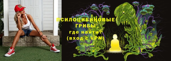 mix Богородицк