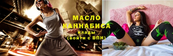 mix Богородицк