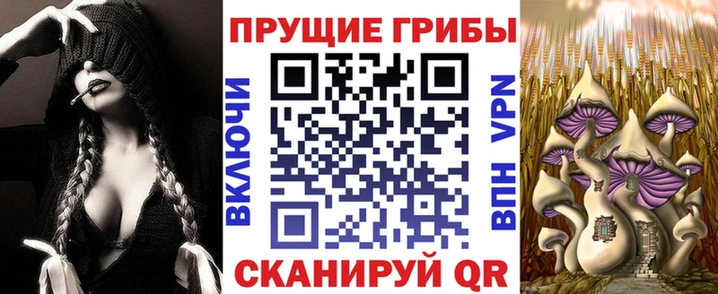 наркотики  Смоленск  Псилоцибиновые грибы мухоморы 